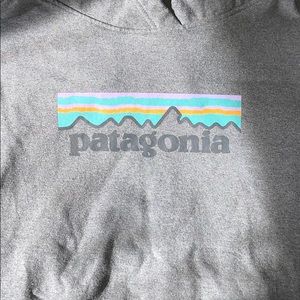 Patagonia Hoodie